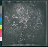 ���Ƚs��:12-2419