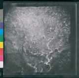 ���Ƚs��:12-2419