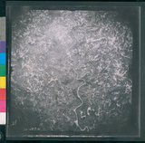 ���Ƚs��:12-2419