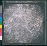 ���Ƚs��:12-2419