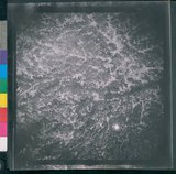 ���Ƚs��:12-2419