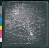 ���Ƚs��:12-2419