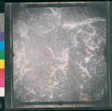 ���Ƚs��:12-2419