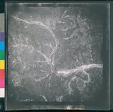 ���Ƚs��:12-2419