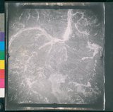 ���Ƚs��:12-2419