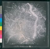 ���Ƚs��:12-2419