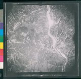 ���Ƚs��:12-2419