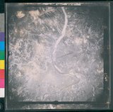 ���Ƚs��:12-2419