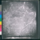 ���Ƚs��:12-2419