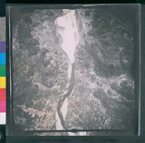 ���Ƚs��:12-2419