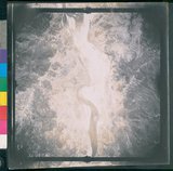 ���Ƚs��:12-2419