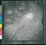 ���Ƚs��:12-2419