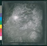 ���Ƚs��:12-2419