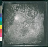 ���Ƚs��:12-2419