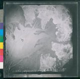 ���Ƚs��:12-2419