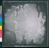 ���Ƚs��:12-2419