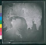 ���Ƚs��:12-2419