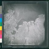 ���Ƚs��:12-2419