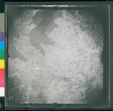 ���Ƚs��:12-2419