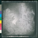 ���Ƚs��:12-2419