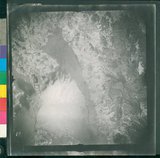 ���Ƚs��:12-2419