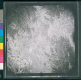 ���Ƚs��:12-2419