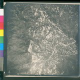 ���Ƚs��:12-2425