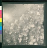 ���Ƚs��:12-2429