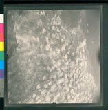 ���Ƚs��:12-2429