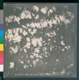 ���Ƚs��:12-2507