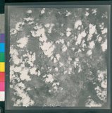 ���Ƚs��:12-2507