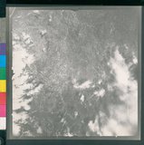 ���Ƚs��:12-2507