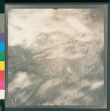 ���Ƚs��:12-2507