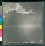 ���Ƚs��:12-2507