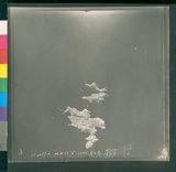 ���Ƚs��:12-2599