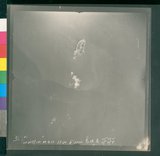 ���Ƚs��:12-2599