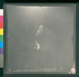 ���Ƚs��:12-2599