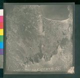 ���Ƚs��:12-2599