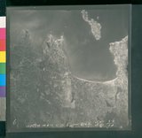 ���Ƚs��:12-2599