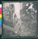 ���Ƚs��:12-2645