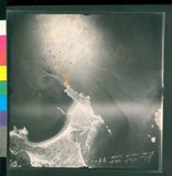 ���Ƚs��:12-2655