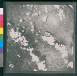 ���Ƚs��:12-2813-VV