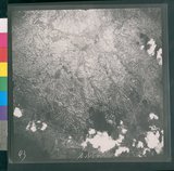 ���Ƚs��:12-2813-VV