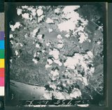 ���Ƚs��:12-2935