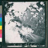 ���Ƚs��:12-2935