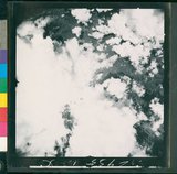 ���Ƚs��:12-2935