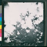 ���Ƚs��:12-2935