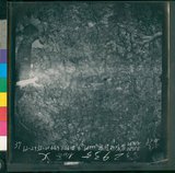 ���Ƚs��:12-2935