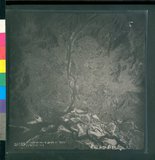 ���Ƚs��:12-3121