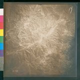 ���Ƚs��:12-3133